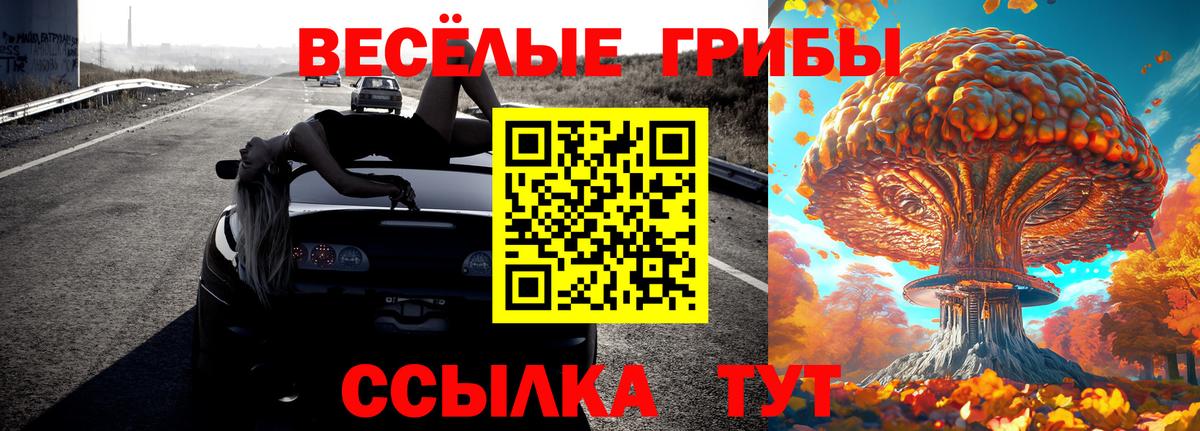 Каменск-Шахтинский  Псилоцибиновые грибы мицелий  Вход с VPN 